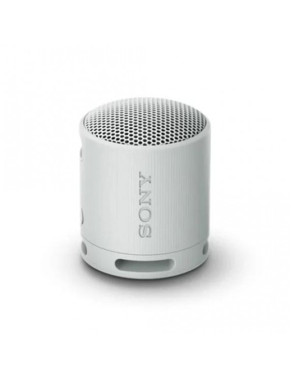 Sony SRS-XB100 Bluetooth Speaker Light Gray EU