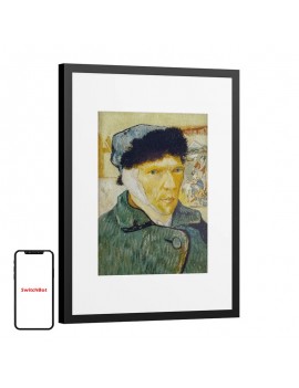 Digital frame SwitchBot AI Art Frame 13.3