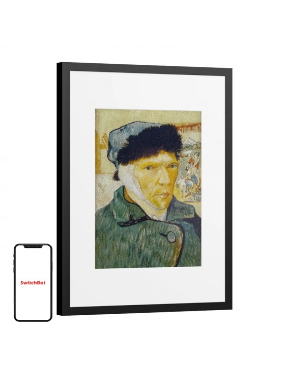 Digital frame SwitchBot AI Art Frame 13.3