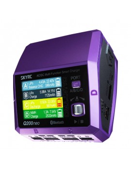 Charger SkyRC Q200neo