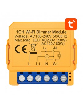Smart socket switch WiFi Avatto DMS16-2 TUYA