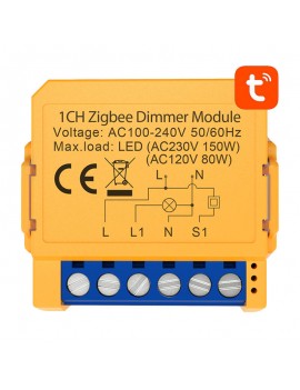 Smart socket switch ZigBee Avatto ZDMS16-2 TUYA