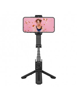 Gimbal Hohem iSteady Q