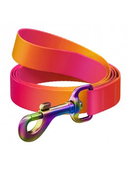 Nylon dog leash WAUDOG gradient, lgth. 122cm, orange