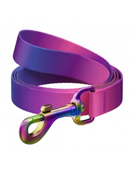 Nylon dog leash WAUDOG gradient, lgth. 122cm, purple