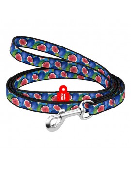 Nylon dog leash WAUDOG 20 mm wide, 122 cm long “fig”