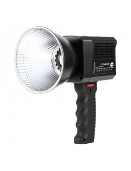 PULUZ PU4119B 60W Studio Video Light 2500K-6500K (Black)