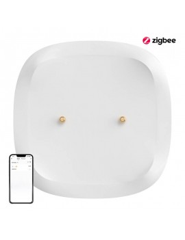 Water leak sensor ZigBee SONOFF SNZB-05P