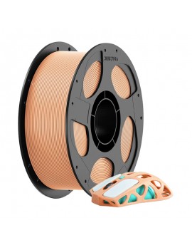 Anycubic PLA Pantone Filament (Peach Fuzz) 1 kg