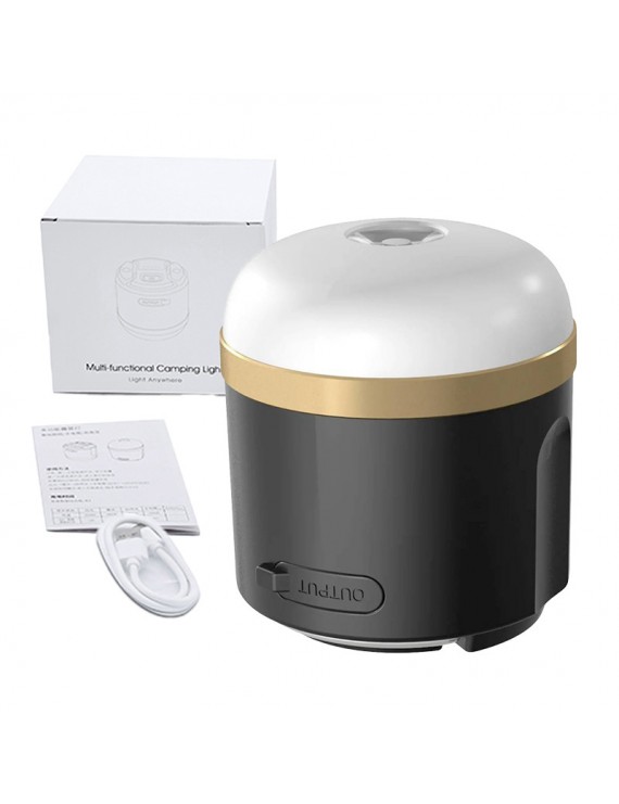 EcoFlow Camping Light (N)