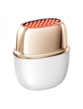 ANLAN 01-ADRY51-02A RF Lifting Facial Massager