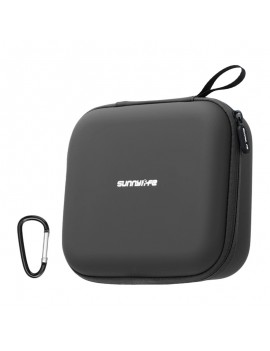 Sunnylife Leather Case with mesh pocket for Neo 2 (Black)