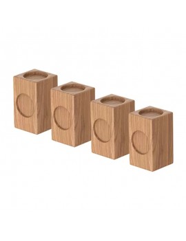 RA2 Pro xTool Elevations