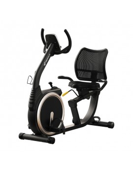 Recumbent bike MERACH MR-S19