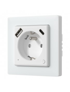 Avatto WOT20-FR Smart plug